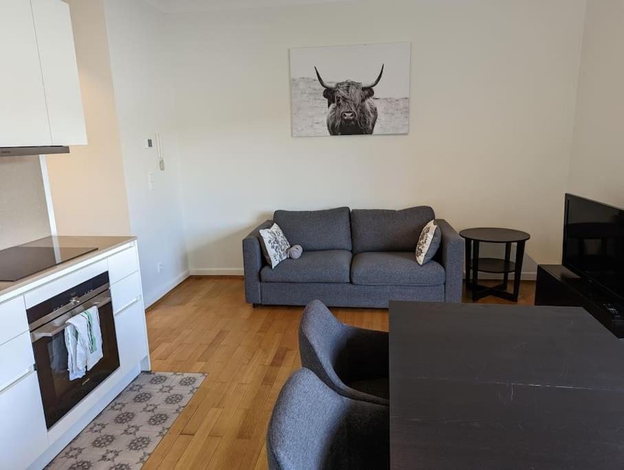 Refurbished 1br In Limpertsberg Apartment *