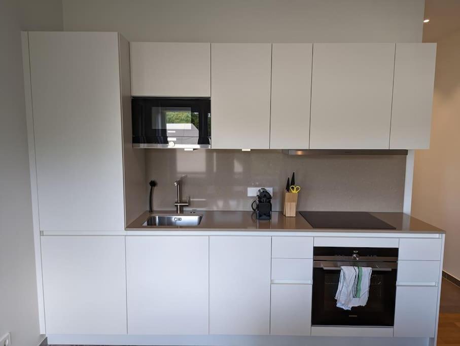 Refurbished 1br In Limpertsberg *